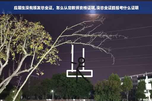 应届生没有颁发毕业证，怎么认定教师资格证呢,没毕业证能报考什么证明