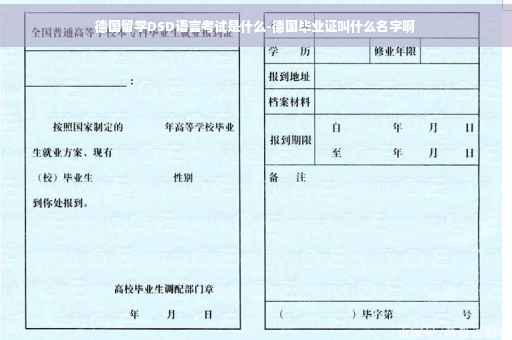 德国留学DSD语言考试是什么-德国毕业证叫什么名字啊