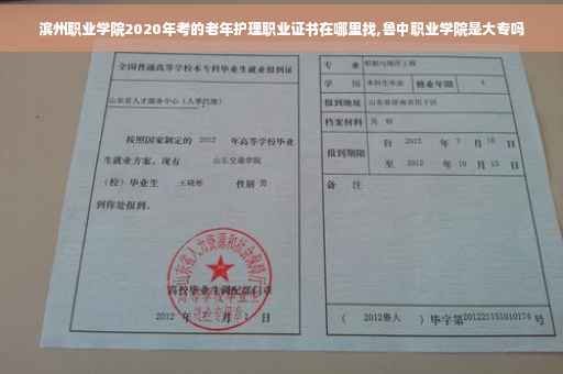 滨州职业学院2020年考的老年护理职业证书在哪里找,鲁中职业学院是大专吗