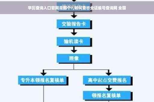 学历查询入口官网是那个?,如何查毕业证编号查询网 全国