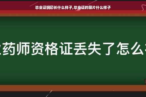 毕业证钢印长什么样子,毕业证的图片什么样子
