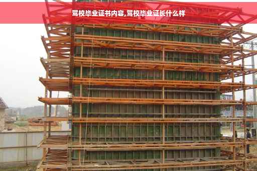 驾校毕业证书内容,驾校毕业证长什么样