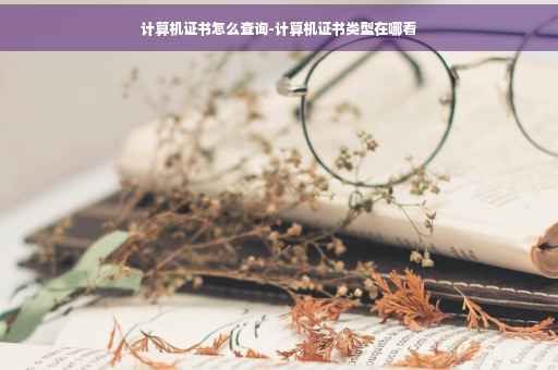 计算机证书怎么查询-计算机证书类型在哪看