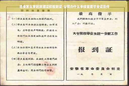 毕业怎么拿到派遣证和报到证-公司办什么手续需要毕业证原件