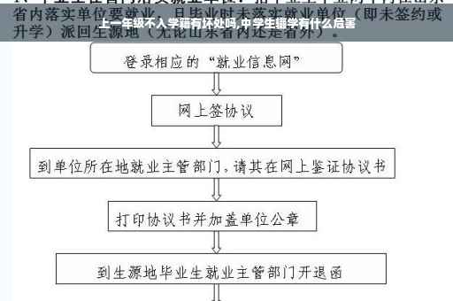 上一年级不入学籍有坏处吗,中学生辍学有什么危害