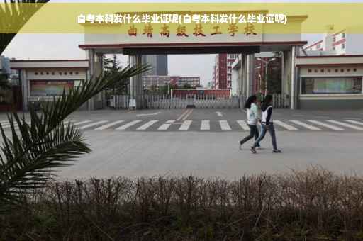 自考本科发什么毕业证呢(自考本科发什么毕业证呢)