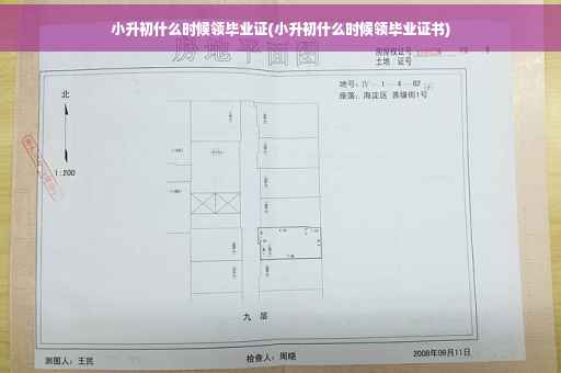 小升初什么时候领毕业证(小升初什么时候领毕业证书)