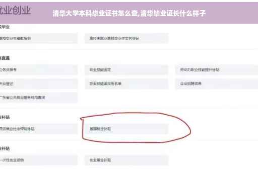 清华大学本科毕业证书怎么查,清华毕业证长什么样子