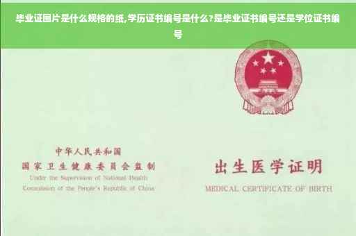 毕业证图片是什么规格的纸,学历证书编号是什么?是毕业证书编号还是学位证书编号