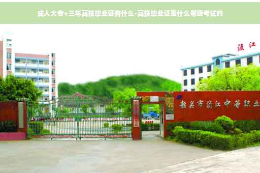 成人大专+三年高技毕业证有什么-高技毕业证是什么等级考试的