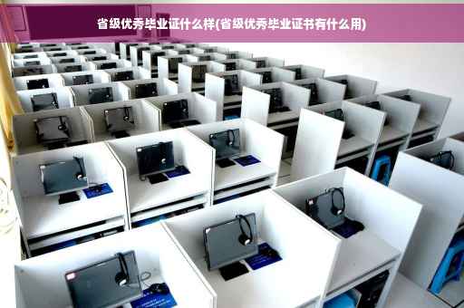 省级优秀毕业证什么样(省级优秀毕业证书有什么用)