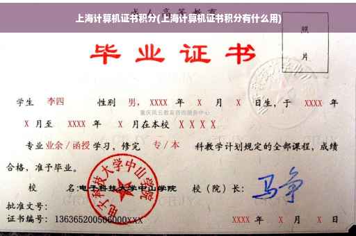 上海计算机证书积分(上海计算机证书积分有什么用)