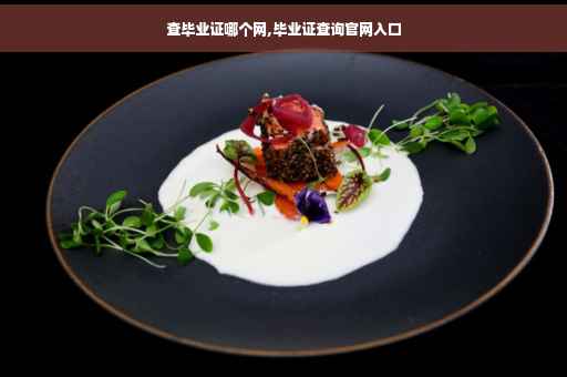 查毕业证哪个网,毕业证查询官网入口