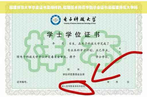 福建师范大学毕业证书是啥样的,福建技术师范学院毕业证书是福建师范大学吗