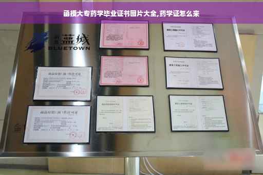 函授大专药学毕业证书图片大全,药学证怎么来