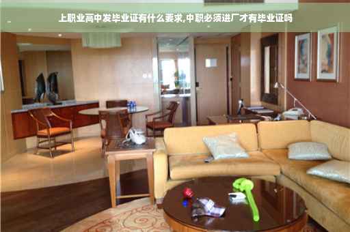 上职业高中发毕业证有什么要求,中职必须进厂才有毕业证吗