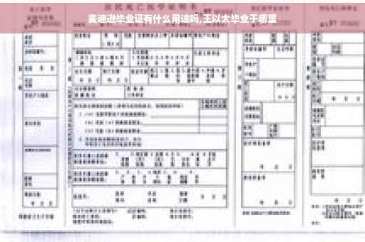 麦迪逊毕业证有什么用途吗,王以太毕业于哪里