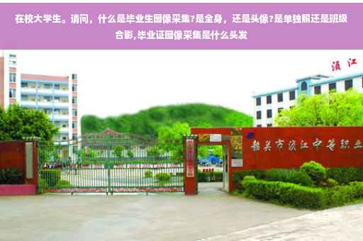 在校大学生。请问，什么是毕业生图像采集?是全身，还是头像?是单独照还是班级合影,毕业证图像采集是什么头发