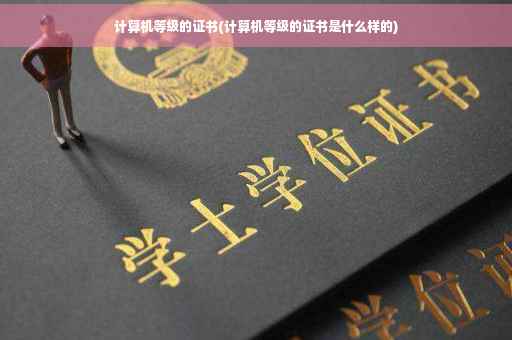 计算机等级的证书(计算机等级的证书是什么样的)