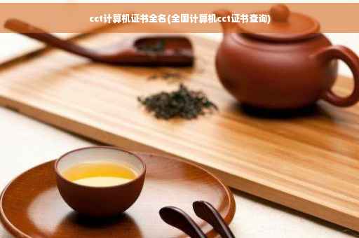 cct计算机证书全名(全国计算机cct证书查询)