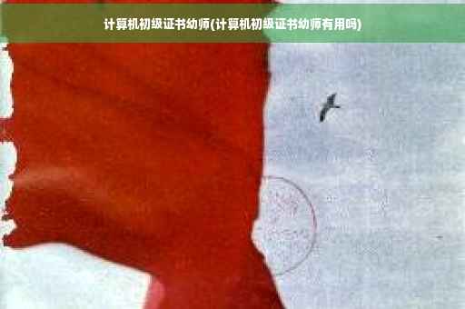 计算机初级证书幼师(计算机初级证书幼师有用吗)