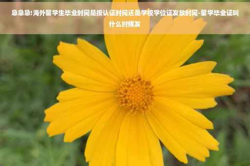 急急急!海外留学生毕业时间是按认证时间还是学校学位证发放时间-留学毕业证叫什么时候发