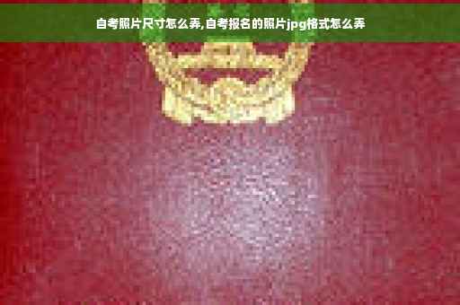 自考照片尺寸怎么弄,自考报名的照片jpg格式怎么弄