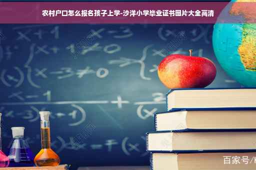 农村户口怎么报名孩子上学-沙洋小学毕业证书图片大全高清