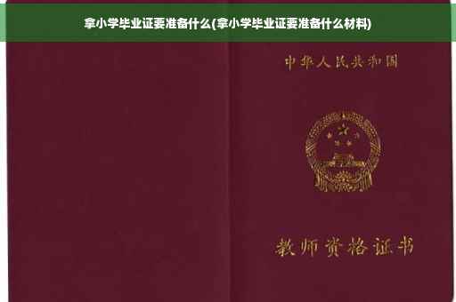 拿小学毕业证要准备什么(拿小学毕业证要准备什么材料)