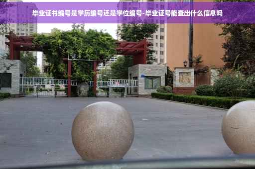 毕业证书编号是学历编号还是学位编号-毕业证号能查出什么信息吗