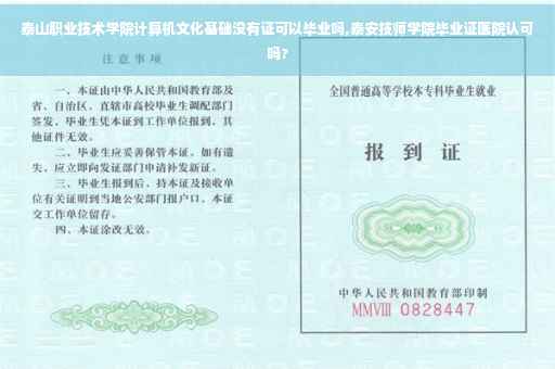 泰山职业技术学院计算机文化基础没有证可以毕业吗,泰安技师学院毕业证医院认可吗?