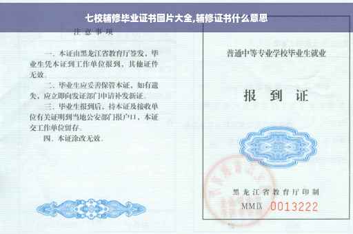 七校辅修毕业证书图片大全,辅修证书什么意思