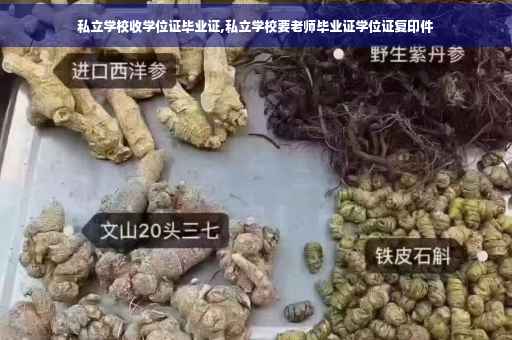私立学校收学位证毕业证,私立学校要老师毕业证学位证复印件