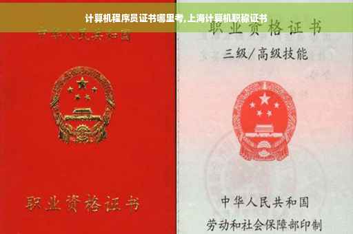 计算机程序员证书哪里考,上海计算机职称证书