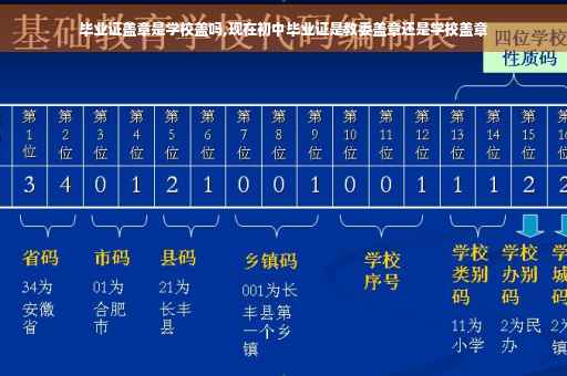 毕业证盖章是学校盖吗,现在初中毕业证是教委盖章还是学校盖章