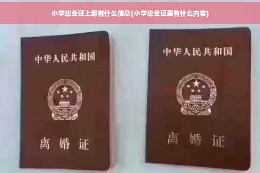 小学毕业证上都有什么信息(小学毕业证里有什么内容)