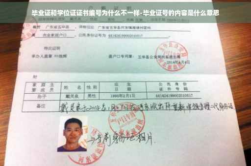毕业证和学位证证书编号为什么不一样-毕业证号的内容是什么意思
