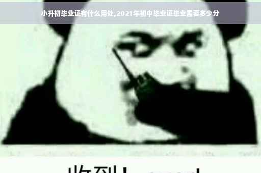 小升初毕业证有什么用处,2021年初中毕业证毕业需要多少分