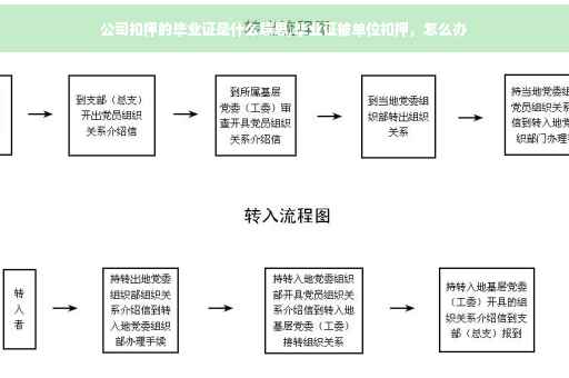 公司扣押的毕业证是什么意思,毕业证被单位扣押，怎么办