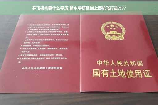 开飞机需要什么学历,初中学历能当上客机飞行员?!??