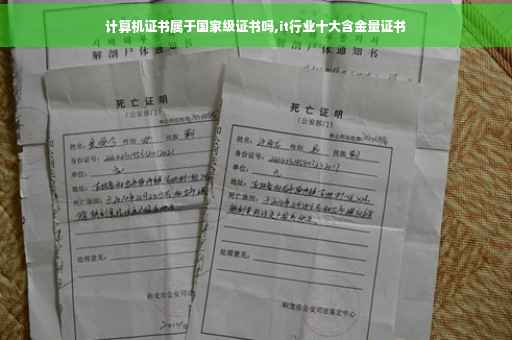 计算机证书属于国家级证书吗,it行业十大含金量证书