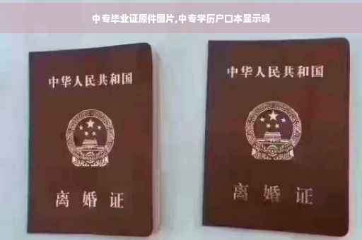 中专毕业证原件图片,中专学历户口本显示吗