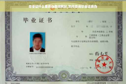 毕业证什么查真伪查询网站,怎样查询毕业证真伪