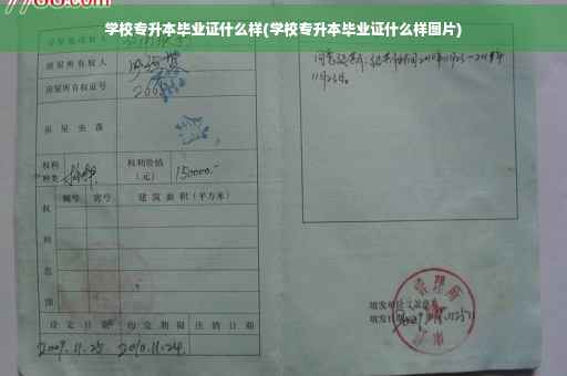 学校专升本毕业证什么样(学校专升本毕业证什么样图片)