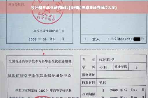 泉州初三毕业证书图片(泉州初三毕业证书图片大全)