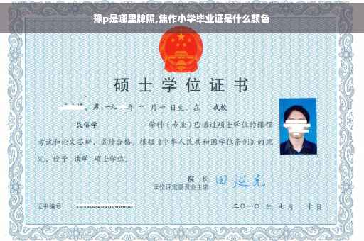豫p是哪里牌照,焦作小学毕业证是什么颜色