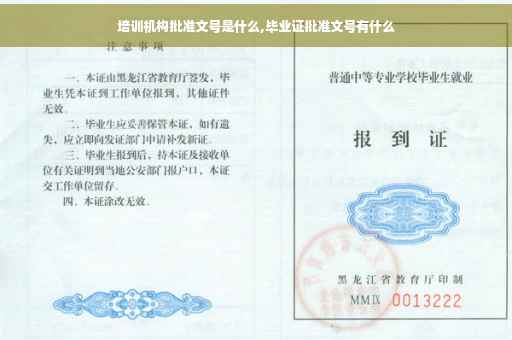 培训机构批准文号是什么,毕业证批准文号有什么