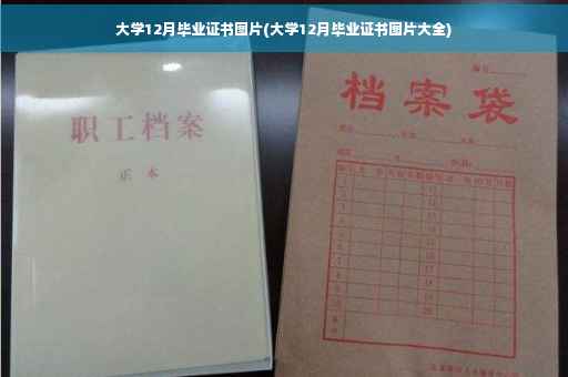 大学12月毕业证书图片(大学12月毕业证书图片大全)