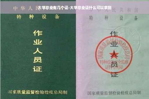 大学毕业有几个证-大学毕业证什么可以拿到