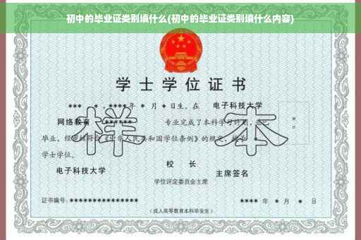 初中的毕业证类别填什么(初中的毕业证类别填什么内容)